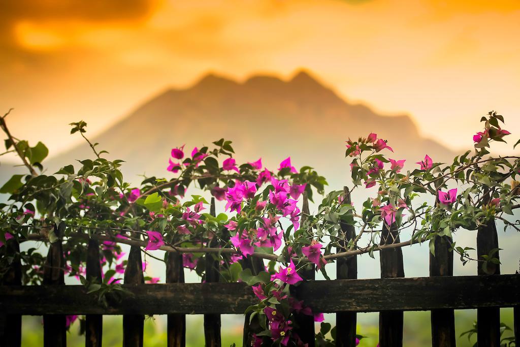 Casa Madre Tierra Hotel วิลกาบัมบา ภายนอก รูปภาพ